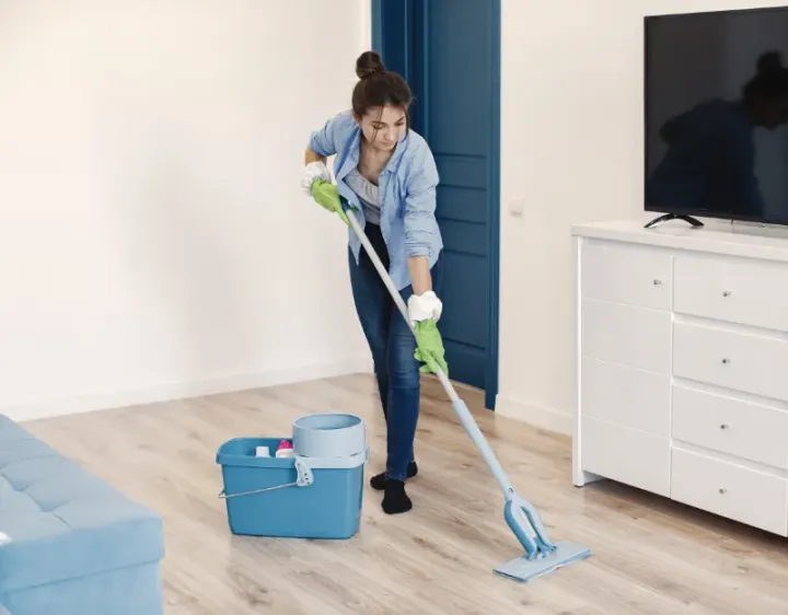 Femme de ménage Bonvillet